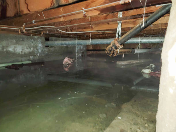 Water damage restoration experts in Gardendale, AL