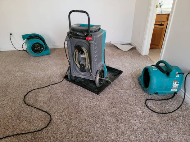 Water damage restoration insurance claims in Gardendale, AL