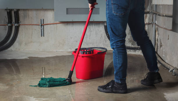Best 24-hour water damage restoration  in Gardende, AL