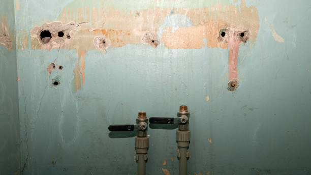 Best Basement water damage restoration  in Gardende, AL