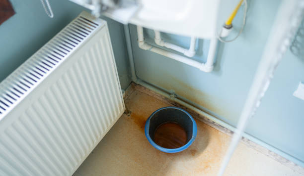 Best Emergency water extraction  in Gardende, AL